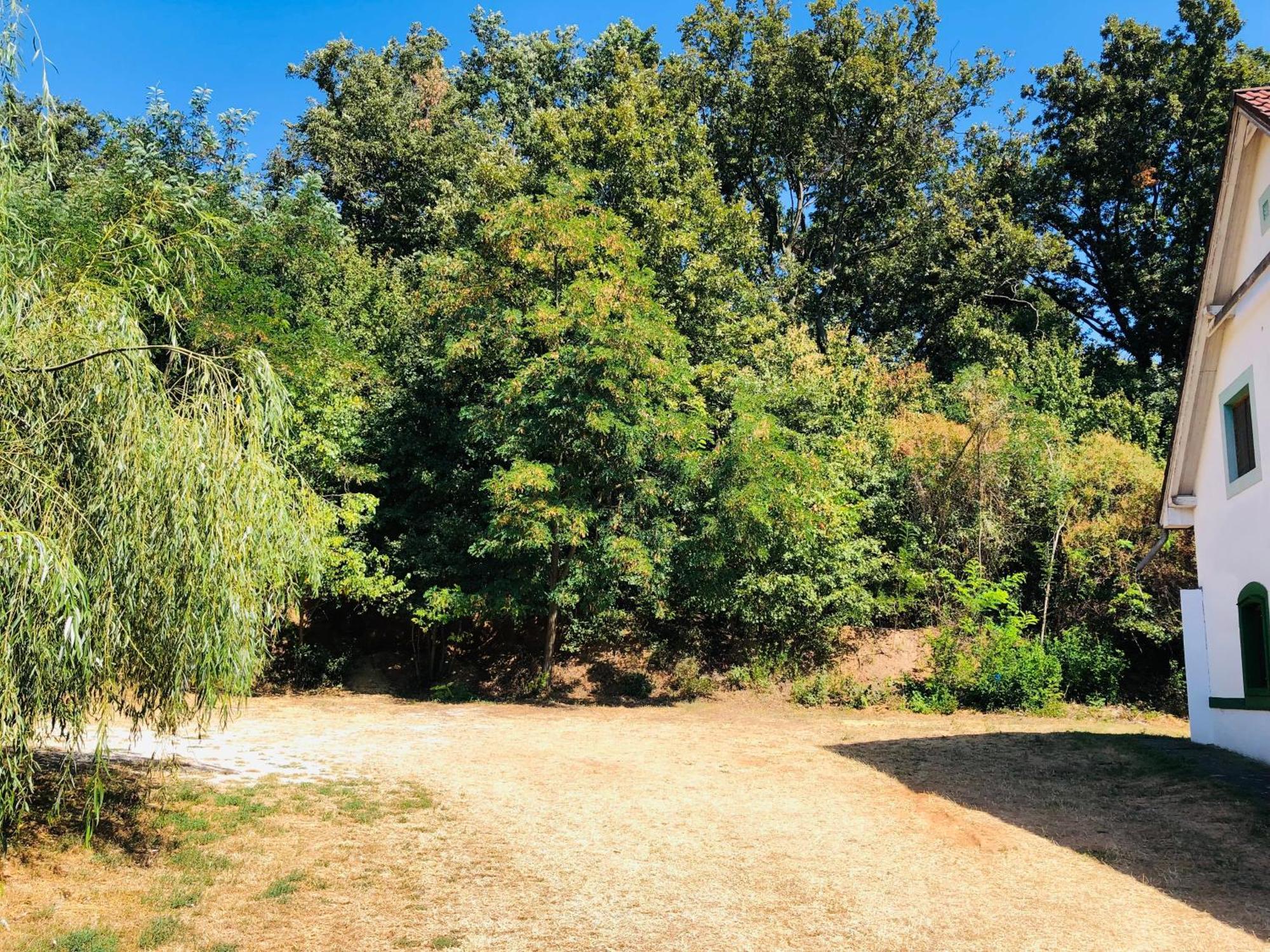 Aligvar Vendeghaz Salfold Εξωτερικό φωτογραφία