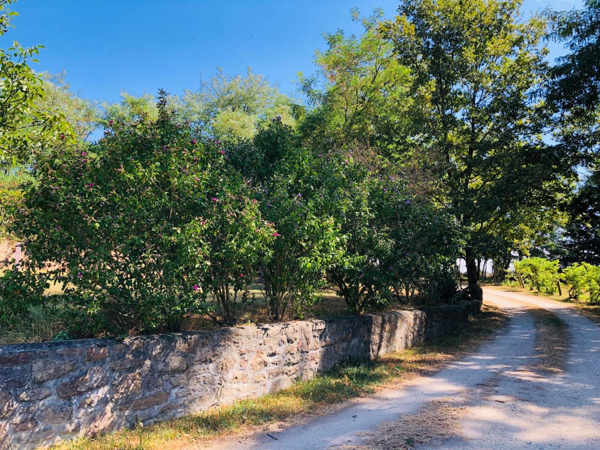 Aligvar Vendeghaz Salfold Εξωτερικό φωτογραφία