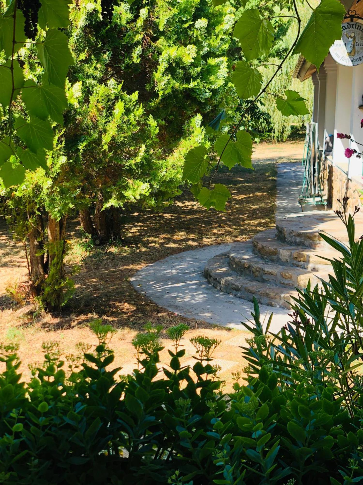 Aligvar Vendeghaz Salfold Εξωτερικό φωτογραφία
